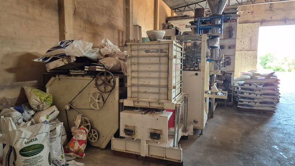 Classificador plano rotativo Zaccaria CPRZ